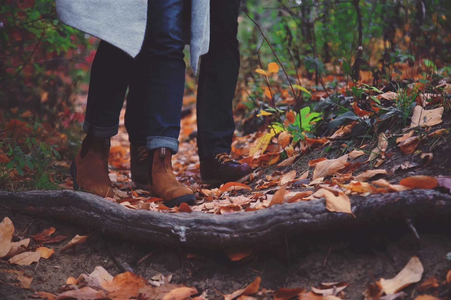 Tranquil forest woodland path